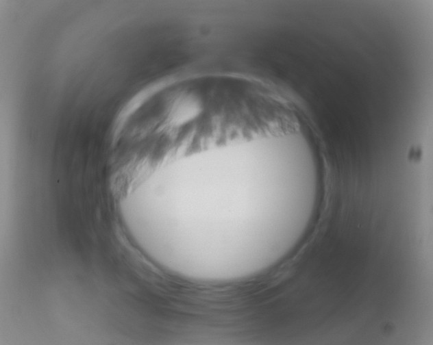 X0000114681318200910211023