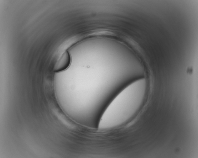 X0000114681321200910211023
