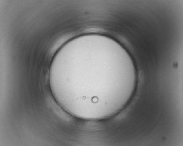 X0000114681322200910211023
