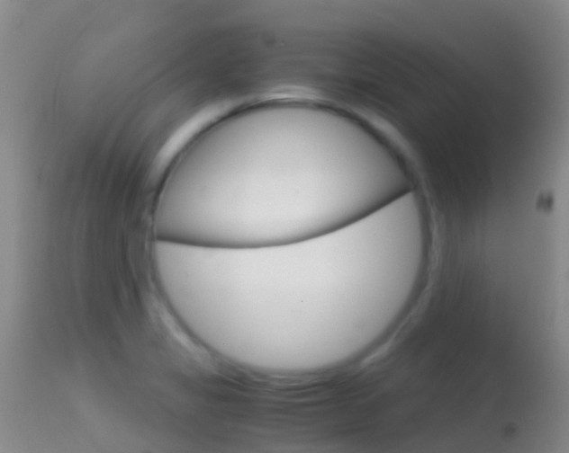 X0000114681325200910211023