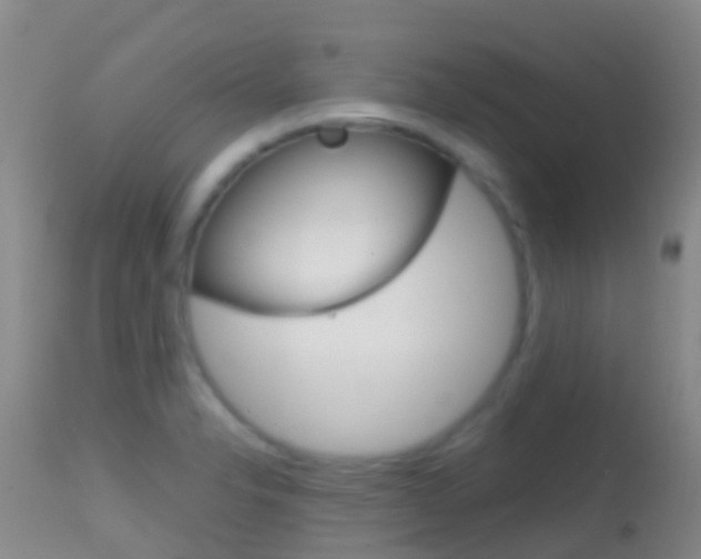 X0000114681326200910211023