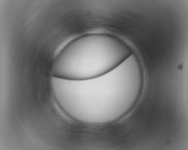 X0000114681329200910211023