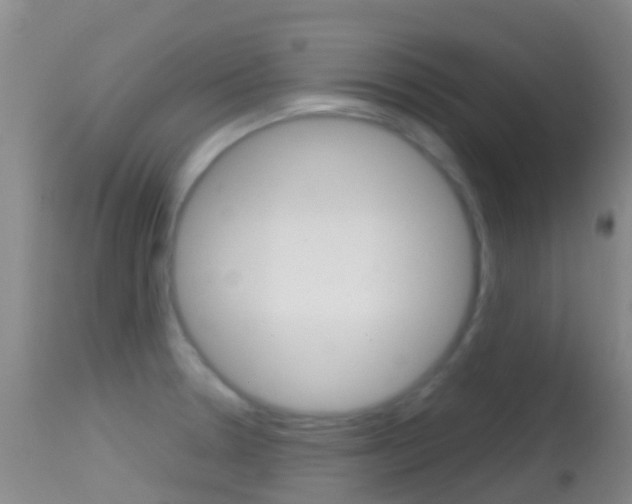 X0000114681330200910211023