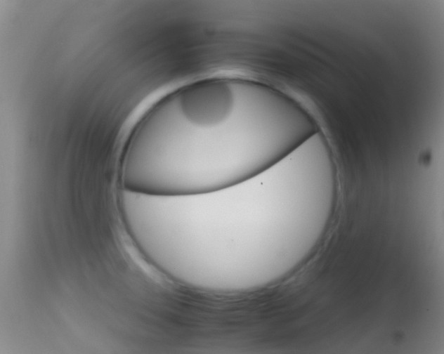 X0000114681331200910211023