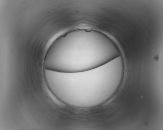 X0000114681333200910211023