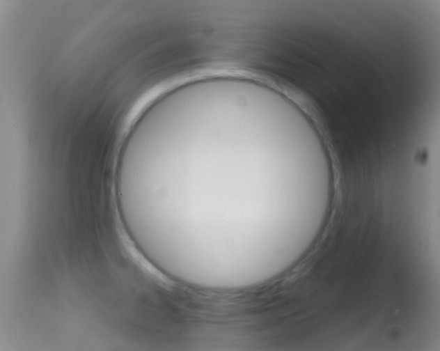 X0000114681334200910211023