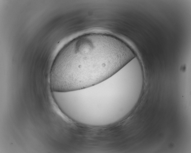 X0000114681335200910211023