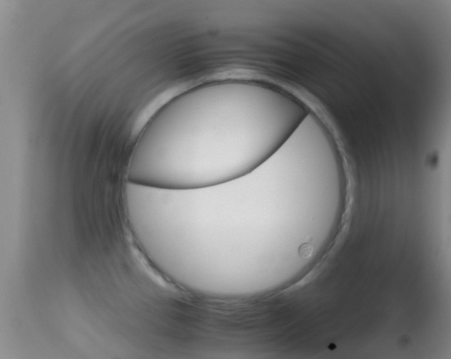 X0000114681337200910211023