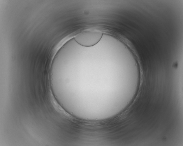 X0000114681338200910211023