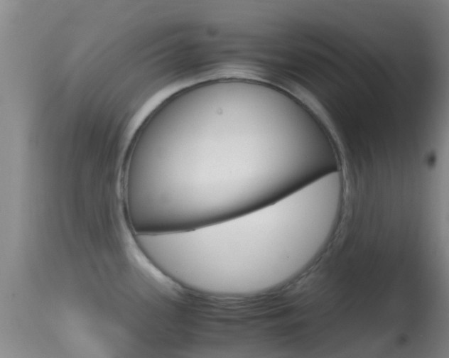 X0000114681339200910211023