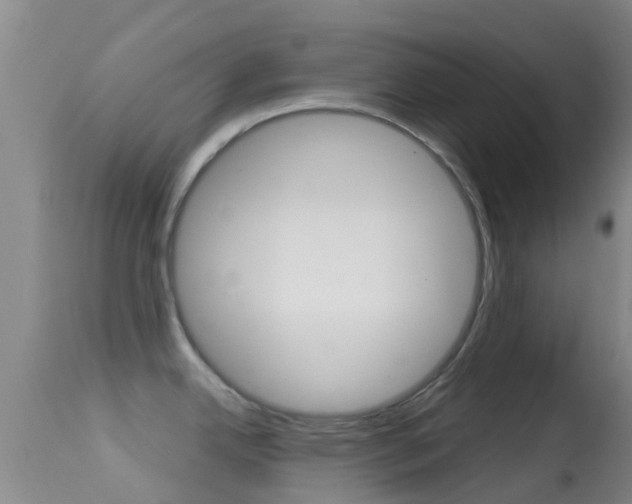 X0000114681342200910211023