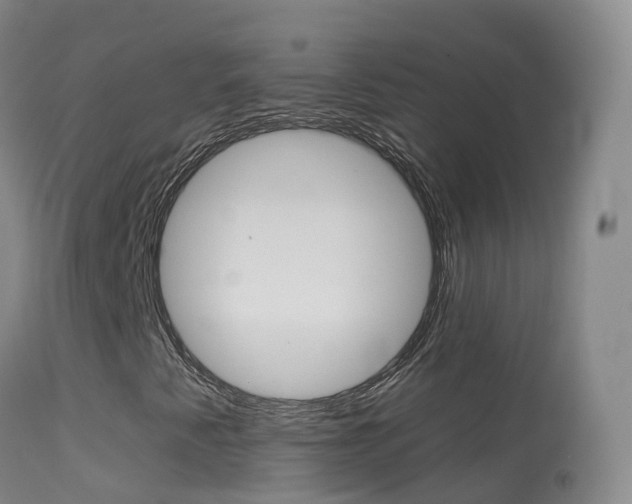 X0000114681345200910211023