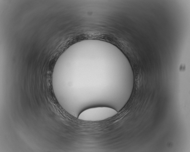 X0000114681346200910211023