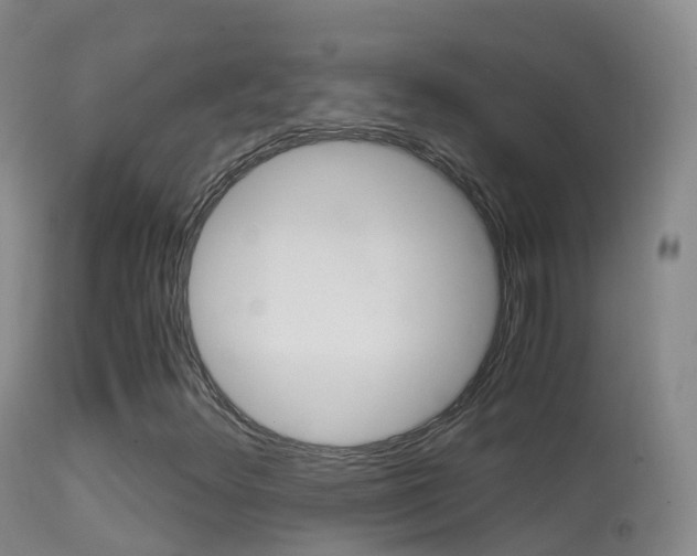 X0000114681348200910211023