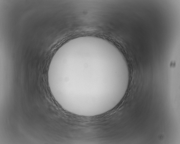 X0000114681349200910211023