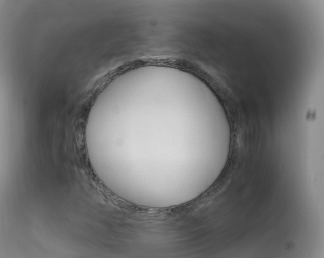 X0000114681350200910211022