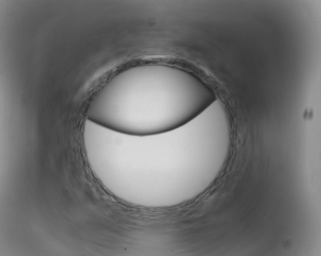 X0000114681351200910211022