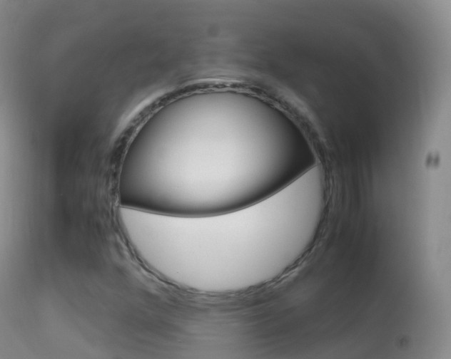 X0000114681352200910211022
