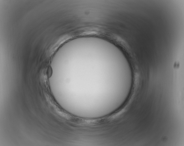 X0000114681353200910211022