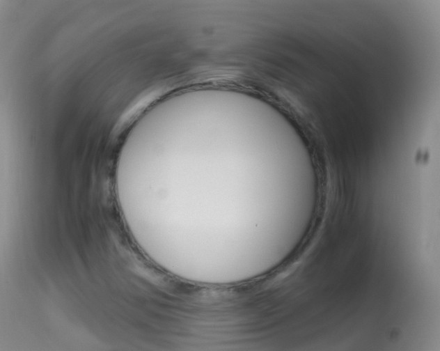 X0000114681354200910211022