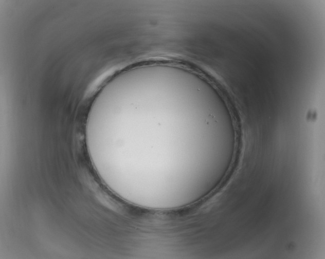 X0000114681355200910211022