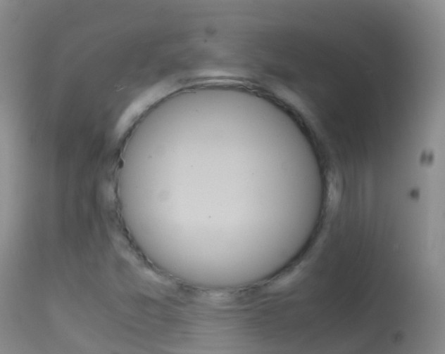 X0000114681357200910211022