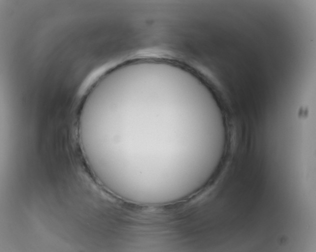 X0000114681358200910211022