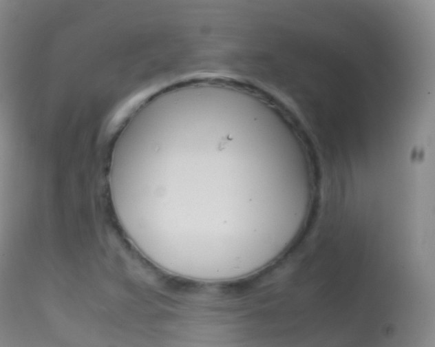 X0000114681359200910211022