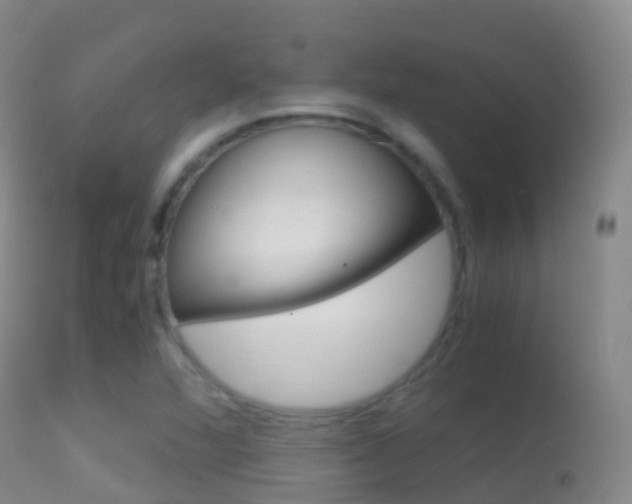 X0000114681360200910211022