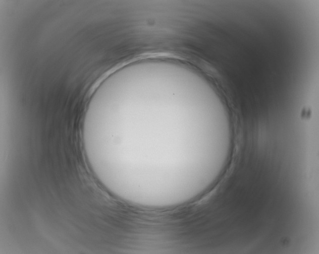 X0000114681361200910211022
