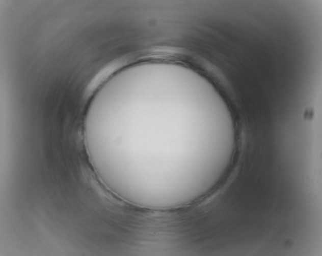 X0000114681362200910211022