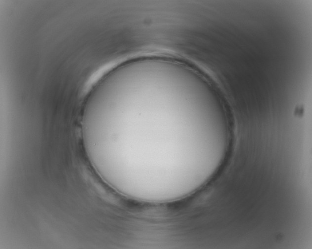 X0000114681363200910211022