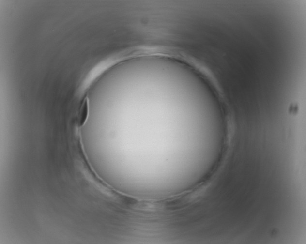 X0000114681365200910211022