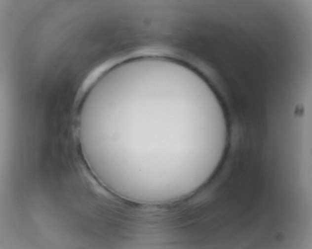 X0000114681366200910211022