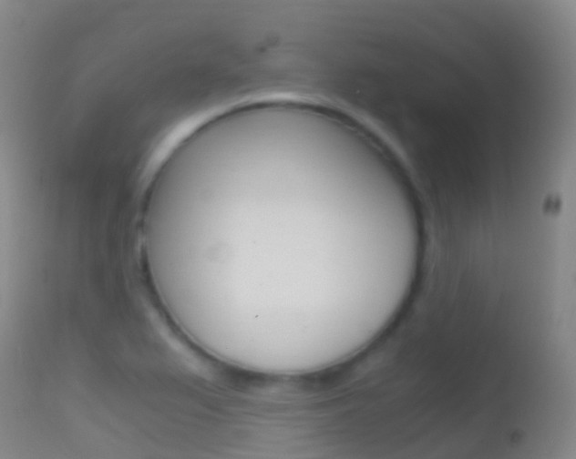 X0000114681367200910211022