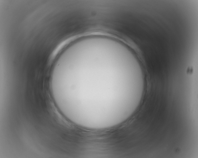 X0000114681368200910211022