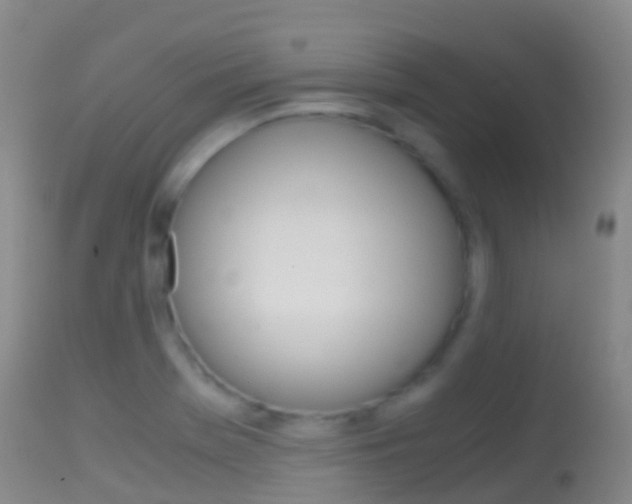 X0000114681369200910211022
