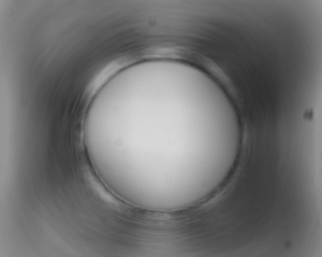 X0000114681370200910211022