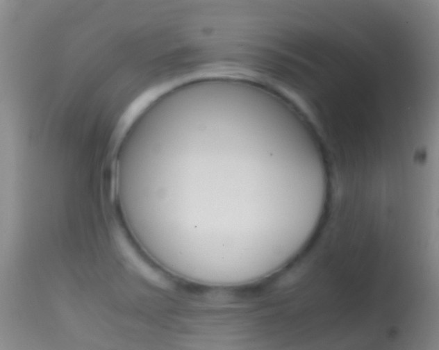 X0000114681371200910211022