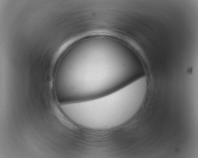 X0000114681372200910211022