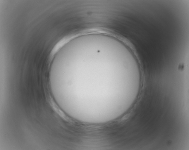 X0000114681373200910211022