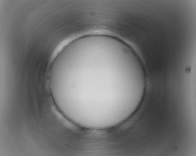 X0000114681374200910211022