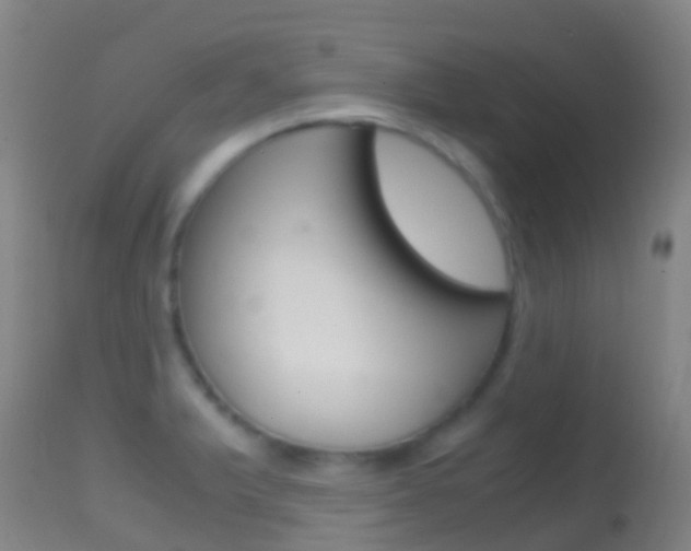 X0000114681375200910211022