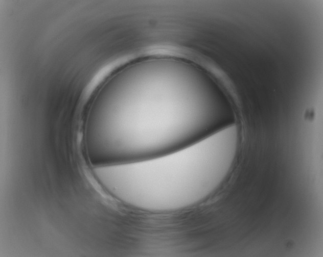 X0000114681376200910211022