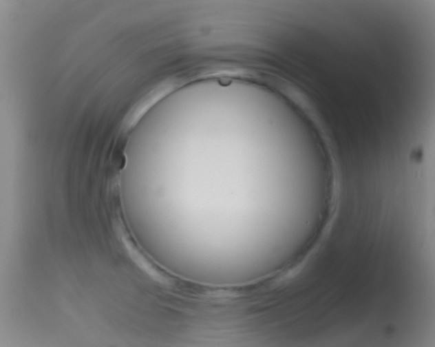 X0000114681377200910211022