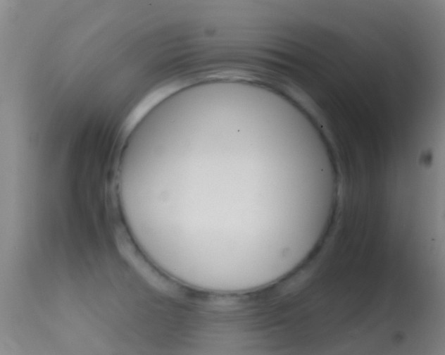 X0000114681378200910211022