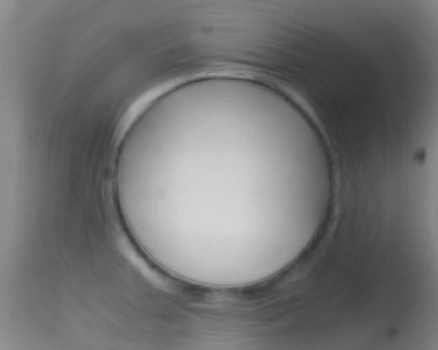 X0000114681379200910211022