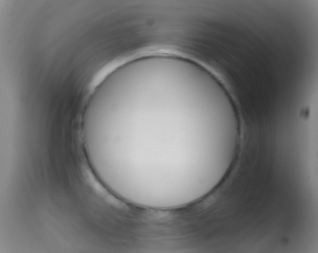X0000114681382200910211022