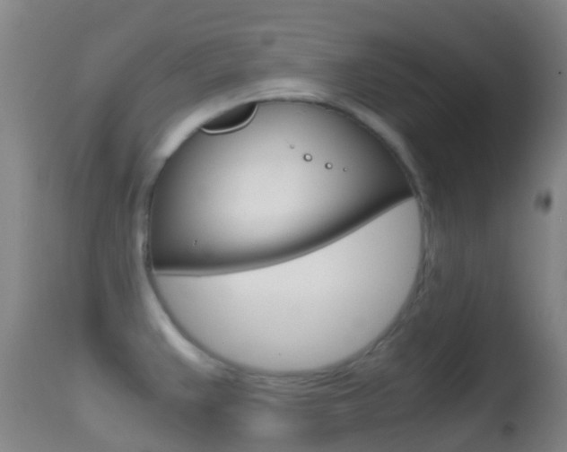 X0000114681383200910211022