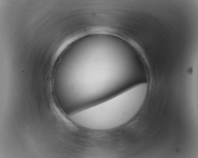 X0000114681384200910211022